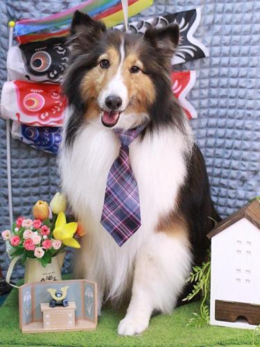 20230510ヒューゴくん